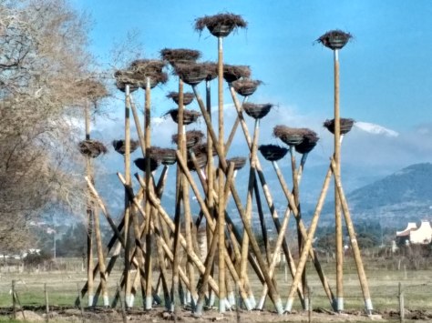 img_20161223_130746_hdr