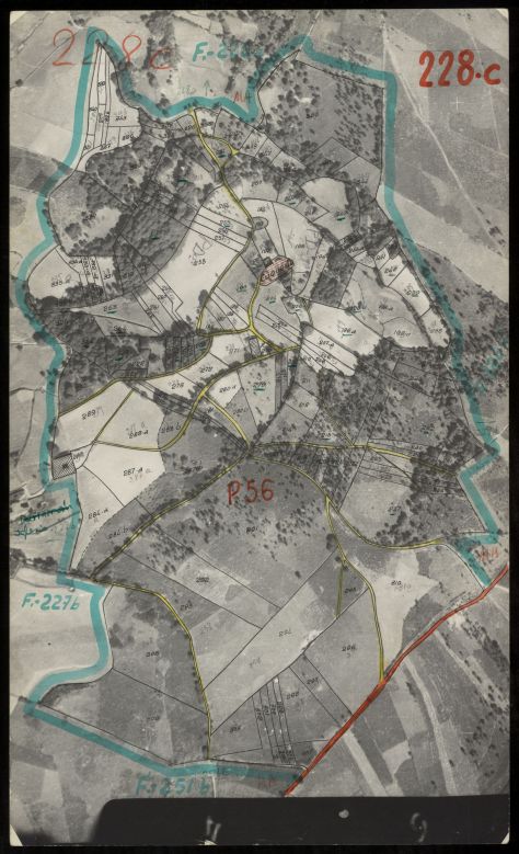 228c_p41-0093CUQUEIRA